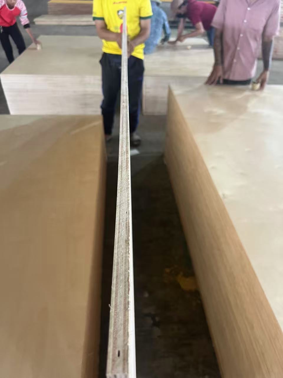 Birch plywood